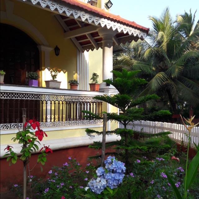 Intricate Mehendi Design