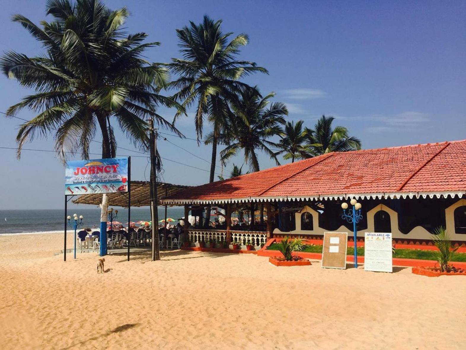 Intricate Mehendi Design